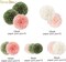 Bridal Shower Decorations, 12 PCS Pink Moss Sage Green Tissue Paper Pom Poms Paper Flowers for Boho Neutral Baby Shower Wedding Engagement Birthday Spring Summer Party Decorations